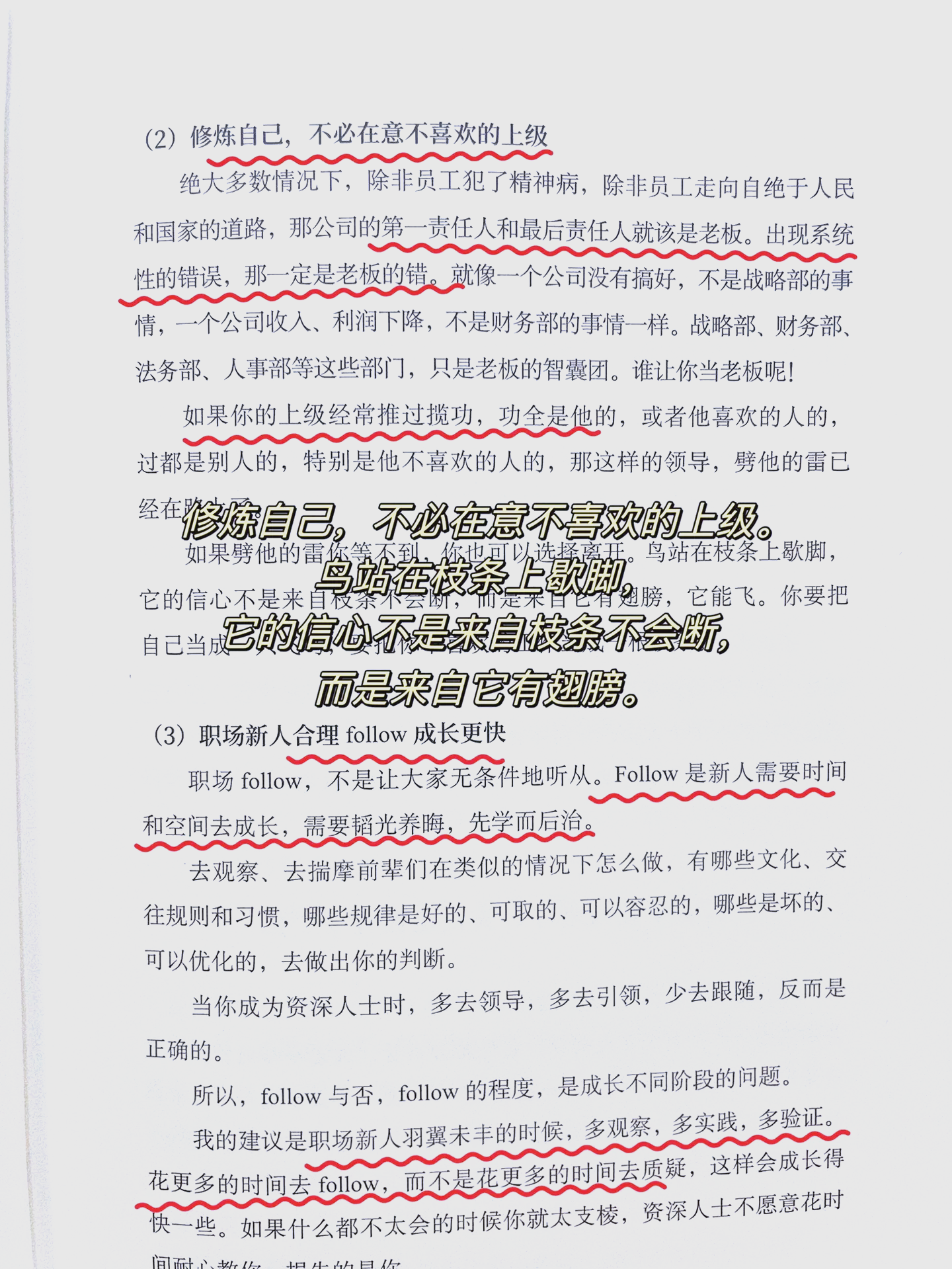 比赛胜利秘诀揭晓，胜者所谓胜者